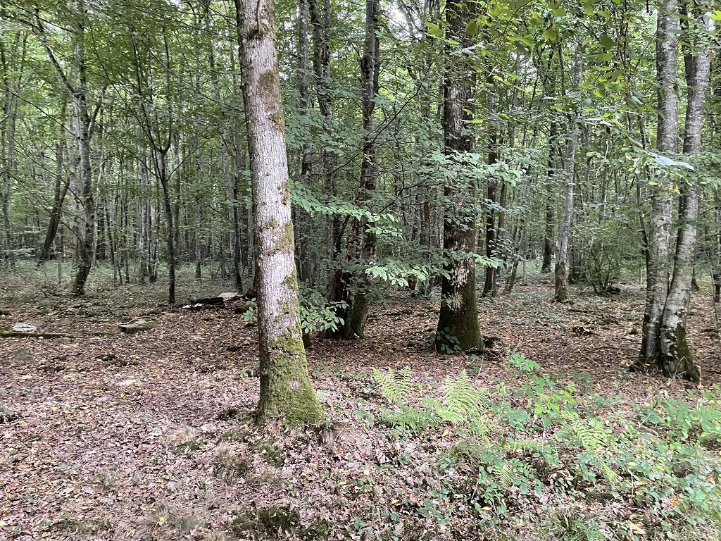 image du bien immobilier Maison ERVAUVILLE